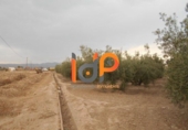 Industrial warehouse for sale in Huércal-Overa ref: TR51078 photo