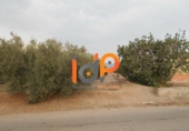 Industrial warehouse for sale in Huércal-Overa ref: TR51078 photo