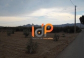 Industrial warehouse for sale in Huércal-Overa ref: TR51078 photo
