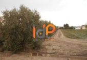 Non-developable land for sale in Huércal-Overa ref: TR22088 photo