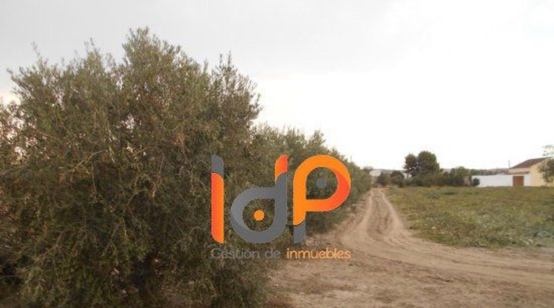 Almería - Úrcal - 12000m2