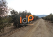 Non-developable land for sale in Huércal-Overa ref: TR22088 photo