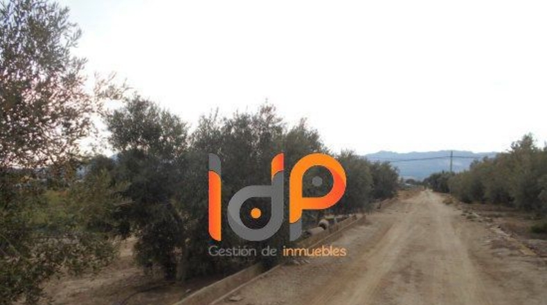 Almería - Úrcal - 12000m2