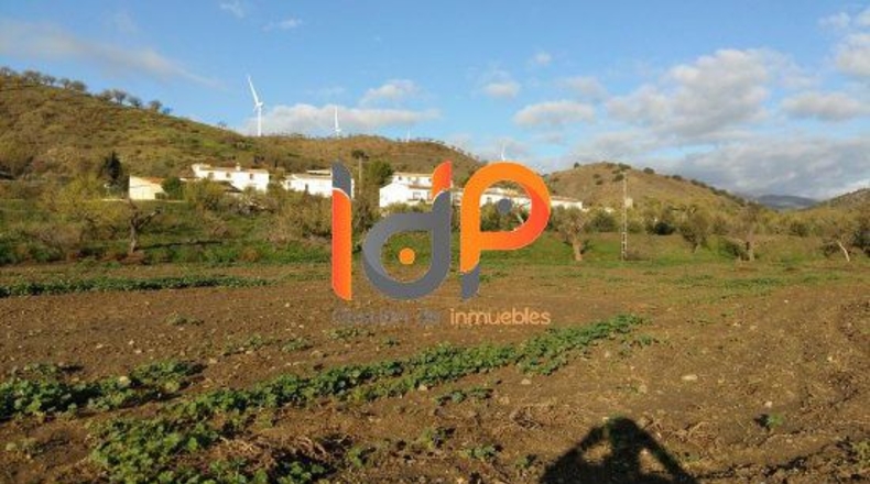 Almería - Vélez-Rubio - 10000m2