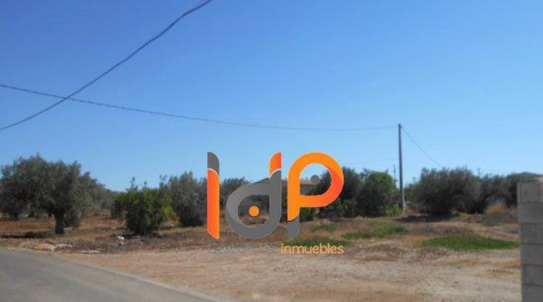 Almería - Las Labores - 440m2