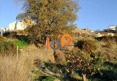 Non-developable land for sale in Huércal-Overa ref: TR22095 photo