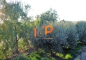 Non-developable land for sale in Huércal-Overa ref: TR22095 photo