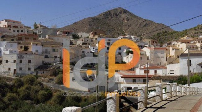 Almería - Tíjola - 11489m2