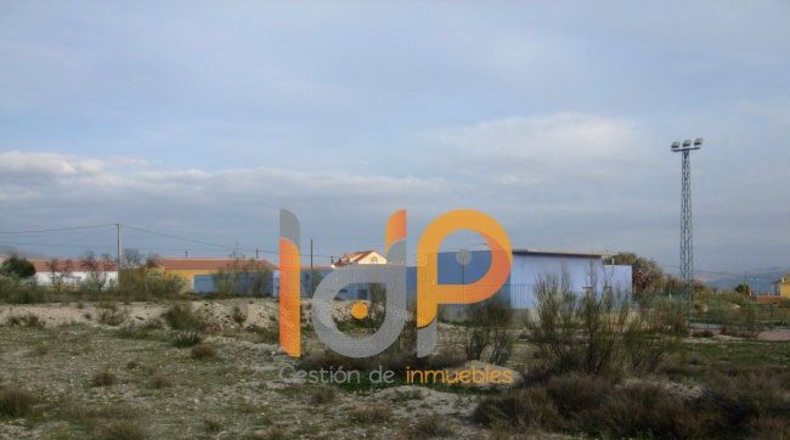 Almería - Tíjola - 11489m2