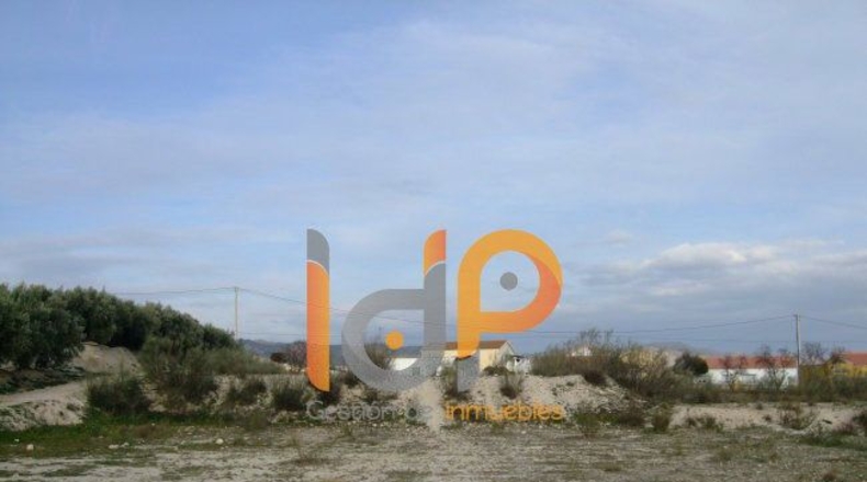Almería - Tíjola - 11489m2