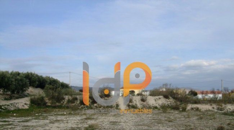 Almería - Tíjola - 11489m2