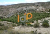 Non-developable land for sale in Huércal-Overa ref: TR22100 photo
