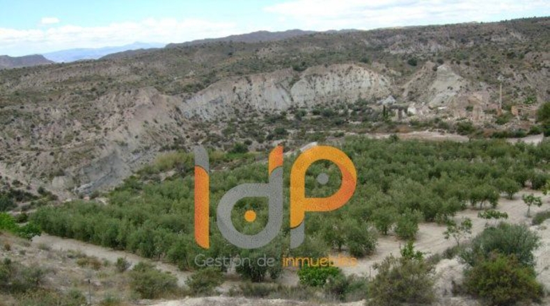 Almería - Huércal-Overa - 4000m2