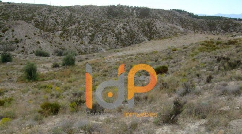 Almería - Huércal-Overa - 4000m2