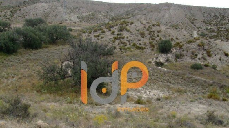 Almería - Huércal-Overa - 4000m2