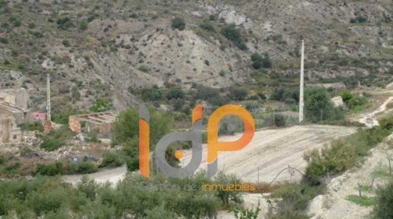 Almería - Huércal-Overa - 4000m2