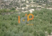 Non-developable land for sale in Huércal-Overa ref: TR22100 photo