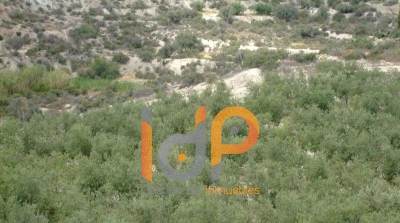 Almería - Huércal-Overa - 4000m2