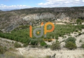Non-developable land for sale in Huércal-Overa ref: TR22100 photo