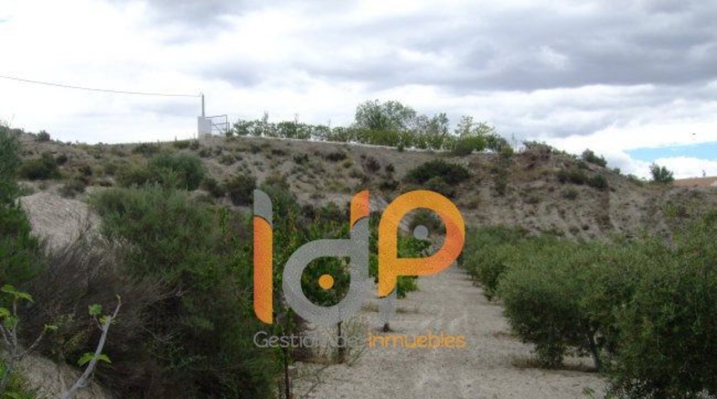 Almería - Huércal-Overa - 4000m2