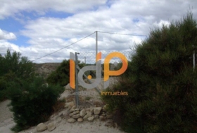 Foto 19