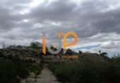 Non-developable land for sale in Huércal-Overa ref: TR22100 photo