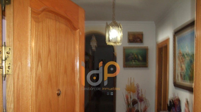 Almería - La Alfoquia - 1500m2