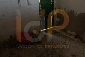 Foto 13