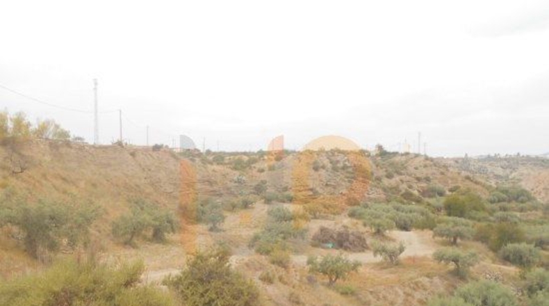 Almería - Huércal-Overa - 13113m2