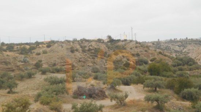 Almería - Huércal-Overa - 13113m2