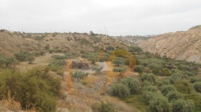 Almería - Huércal-Overa - 13113m2