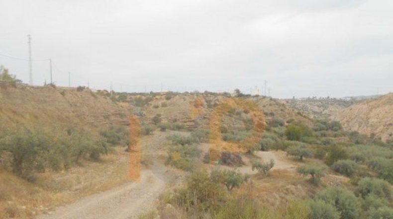 Almería - Huércal-Overa - 13113m2