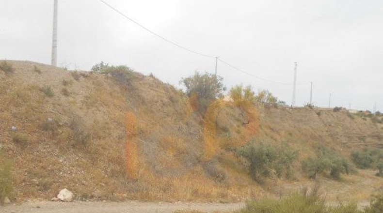 Almería - Huércal-Overa - 13113m2