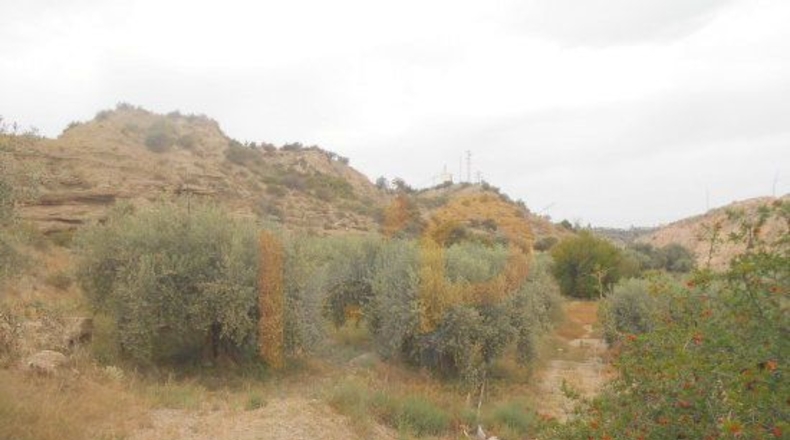 Almería - Huércal-Overa - 13113m2
