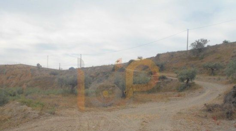 Almería - Huércal-Overa - 13113m2