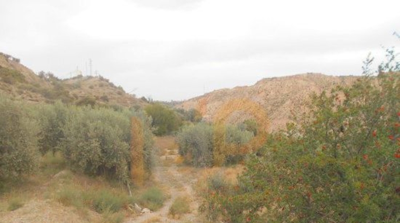 Almería - Huércal-Overa - 13113m2