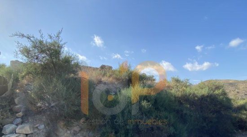 Almería - Abejuela - 320m2