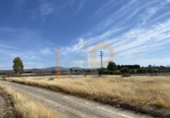 Non-developable land for sale in Huércal-Overa ref: TR22110 photo