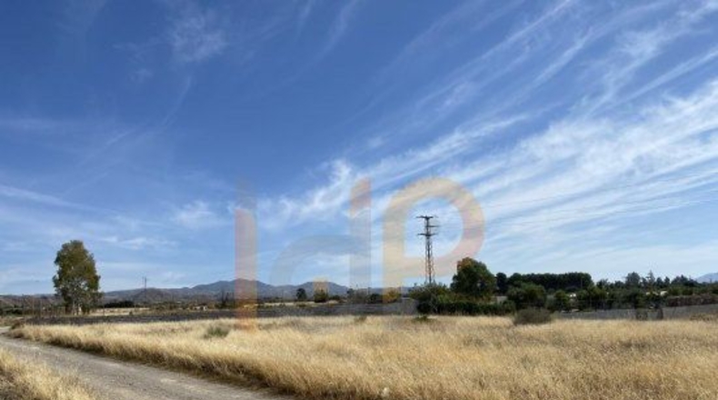 Almería - Huércal-Overa - 10000m2
