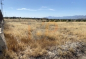 Non-developable land for sale in Huércal-Overa ref: TR22110 photo