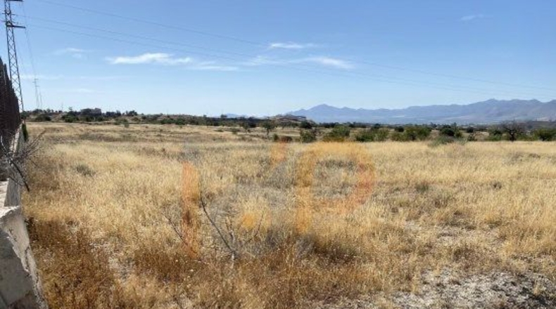 Almería - Huércal-Overa - 10000m2