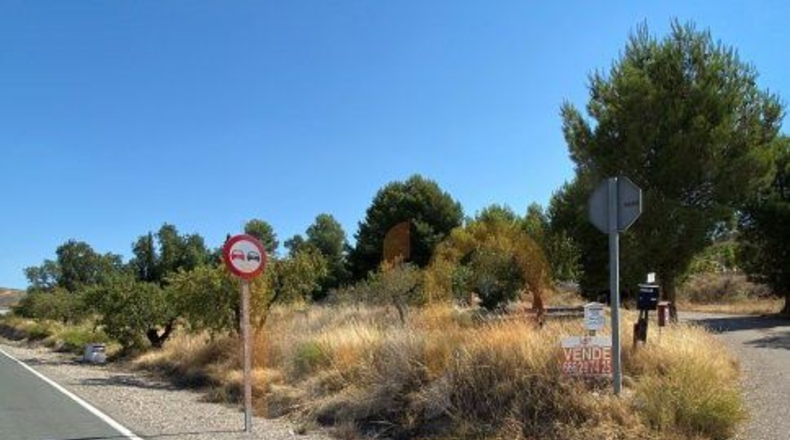 Almería - Huércal-Overa - 552m2