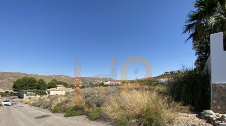 Almería - Huércal-Overa - 552m2