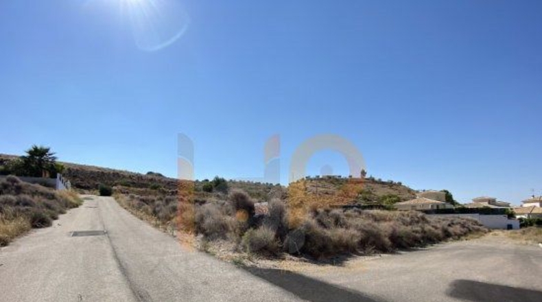Almería - Huércal-Overa - 552m2