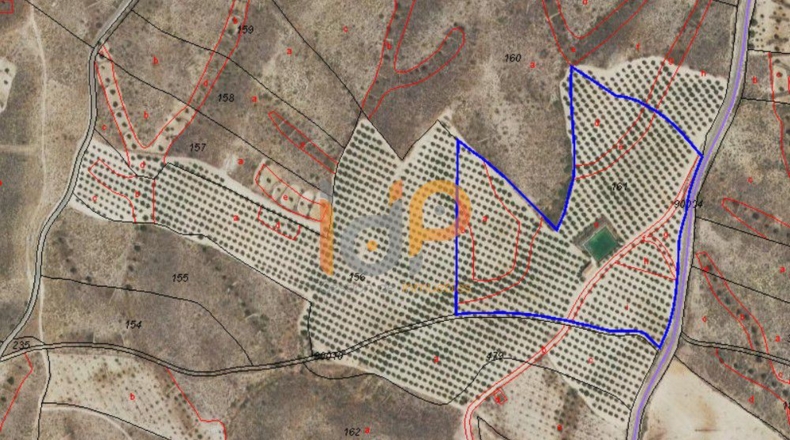 Almería - Carboneras - 100000m2