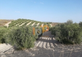 Finca rústica en venta en Albox ref: TR13447 foto