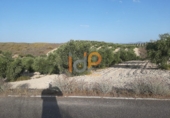 Finca rústica en venta en Albox ref: TR13447 foto