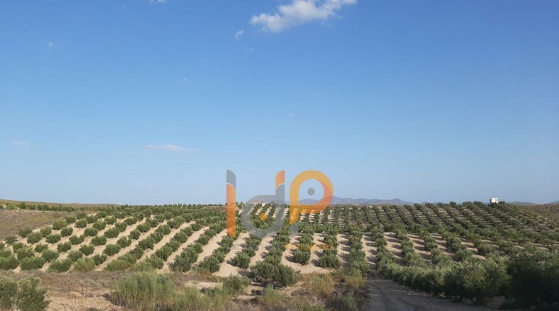 Almería - Carboneras - 100000m2