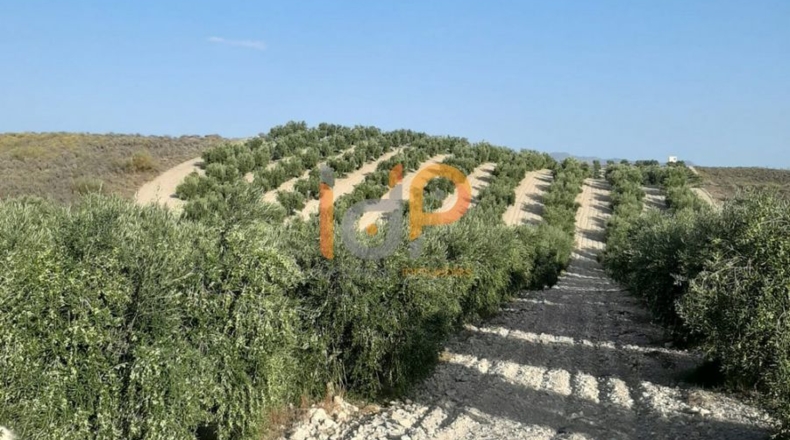 Almería - Carboneras - 100000m2