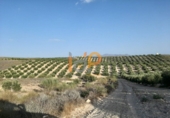Finca rústica en venta en Albox ref: TR13447 foto